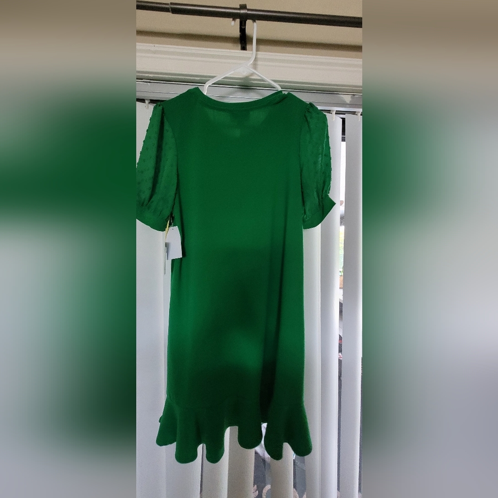 Brand new green dress, great for Christmas!